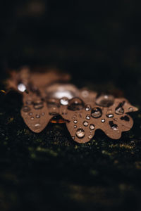 High angle view of raindrops on metal