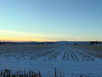 Scenic view of field against clear sky during sunset