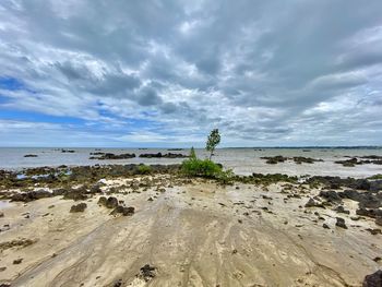 Scenic view of beach against sky