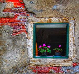 Flower window on house