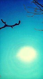 Low angle view of silhouette branches against clear blue sky