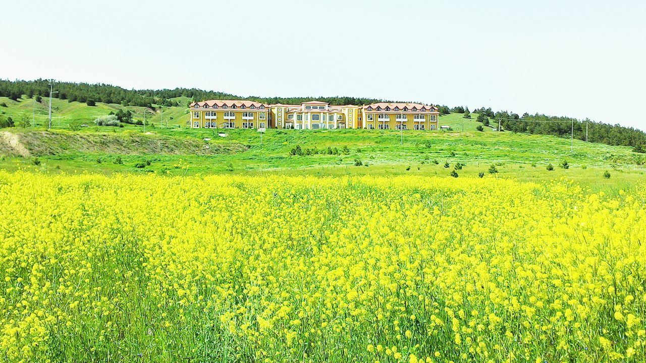 Cumhuriyet Üniversitesi Eğitim Ve Araştırma Hastanesi Derslik 3