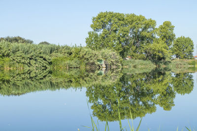 Scenic view of lake against clear sky