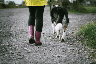 Low section of man with dog walking