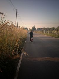 Rear view of man riding bicycle on road against sky