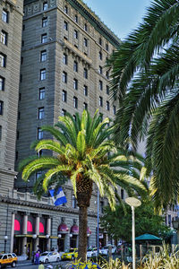 Palm trees in city against sky