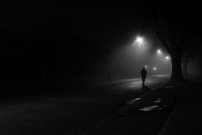 Rear view of silhouette person walking on illuminated street at night