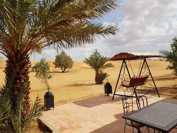 Palm tree by swimming pool against sky