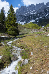 Scenic view of stream flowing through rocks