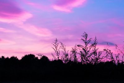 Silhouette trees against sky during sunset