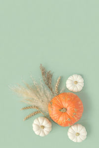 Autumn composition. green desk with pumpkins and dried pampas grass. copy space. nordic, hygge, cozy