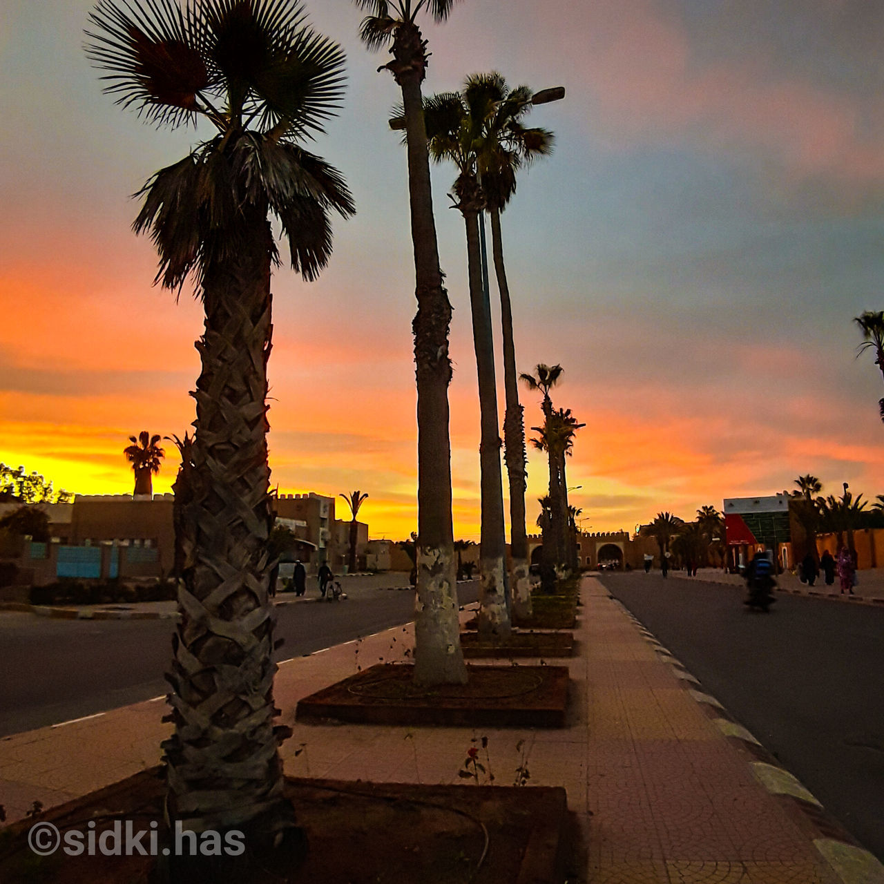 sky, sunset, palm tree, orange color, nature, cloud - sky, tropical climate, plant, architecture, tree, water, built structure, incidental people, silhouette, growth, beauty in nature, outdoors, tall - high