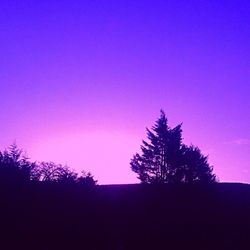 Silhouette trees against sky at sunset