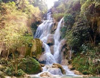 Scenic view of waterfall in forest