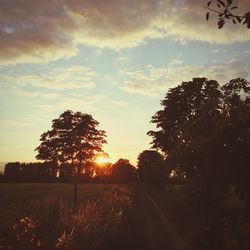 Silhouette trees on landscape against sky at sunset