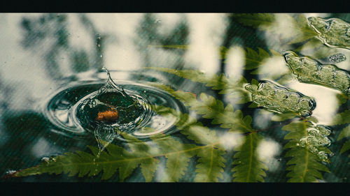 Close-up of water drops on glass