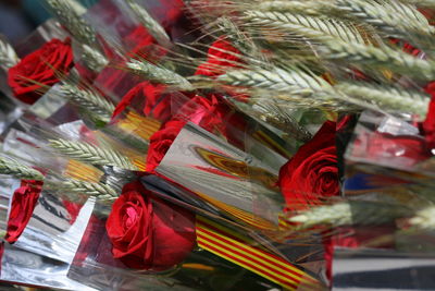 Close up of red leaves