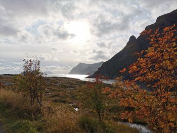 Scenic view of sea against sky during autumn