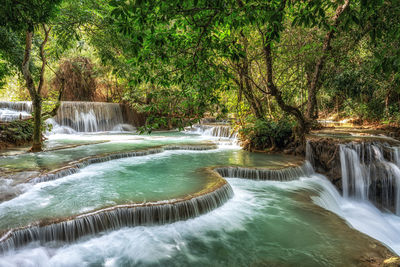 Scenic view of waterfall in forest