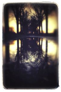 Reflection of trees in water