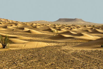 Scenic view of desert against clear sky