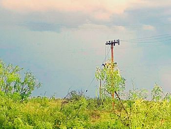 View of electricity pylons on landscape