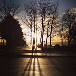 Silhouette of trees at sunset