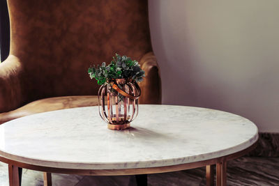 Potted plant on table in cafe