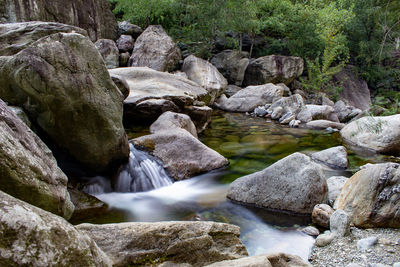 River flowing through rocks in forest