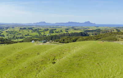 Idyllic rural scenery around the auckland region at the north island of new zealand