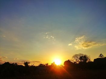 Silhouette of trees at sunset