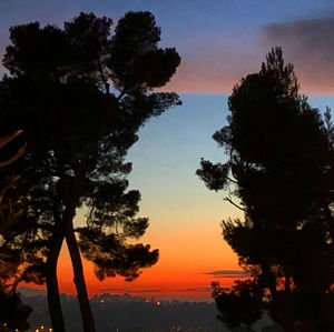 Silhouette trees by sea against sky during sunset