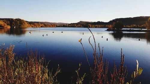 Scenic view of lake against clear sky