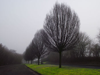Road passing through bare trees