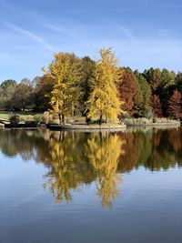 Scenic view of lake by trees against sky