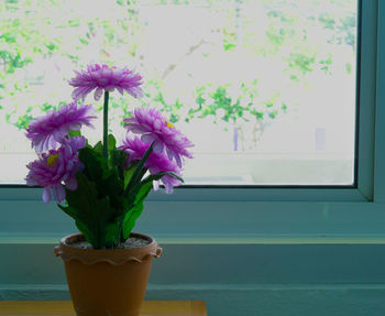 Close-up of purple flower in glass vase on table