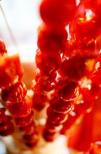 Close-up of red chili peppers