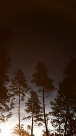 Low angle view of silhouette trees against sky at sunset