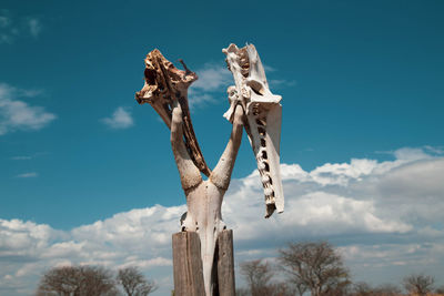 Low angle view of animal skull against blue sky