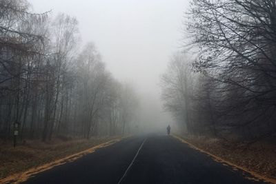 Road amidst bare trees