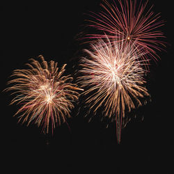 Low angle view of firework display against sky at night