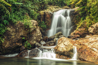 View of waterfall in forest