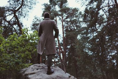 Rear view of man standing on rock in forest