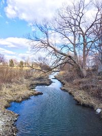 River amidst bare trees against sky