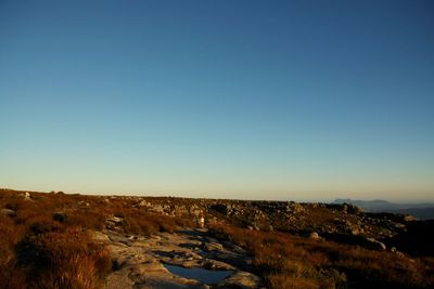 Scenic view of landscape against clear blue sky