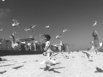 Sea gulls child beach sea holidays black and white 