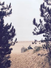 Scenic view of beach against clear sky