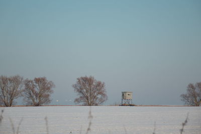 Trees on field against clear sky during winter