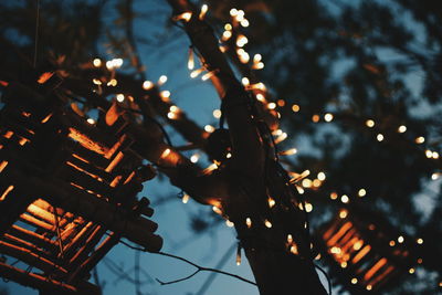 Low angle view of illuminated christmas lights at night
