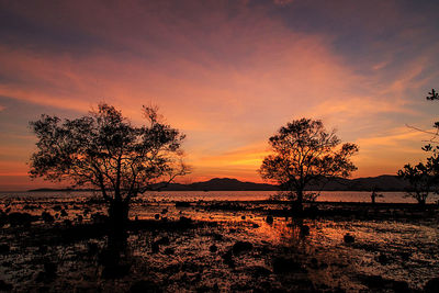 Silhouette tree by lake against sky during sunset